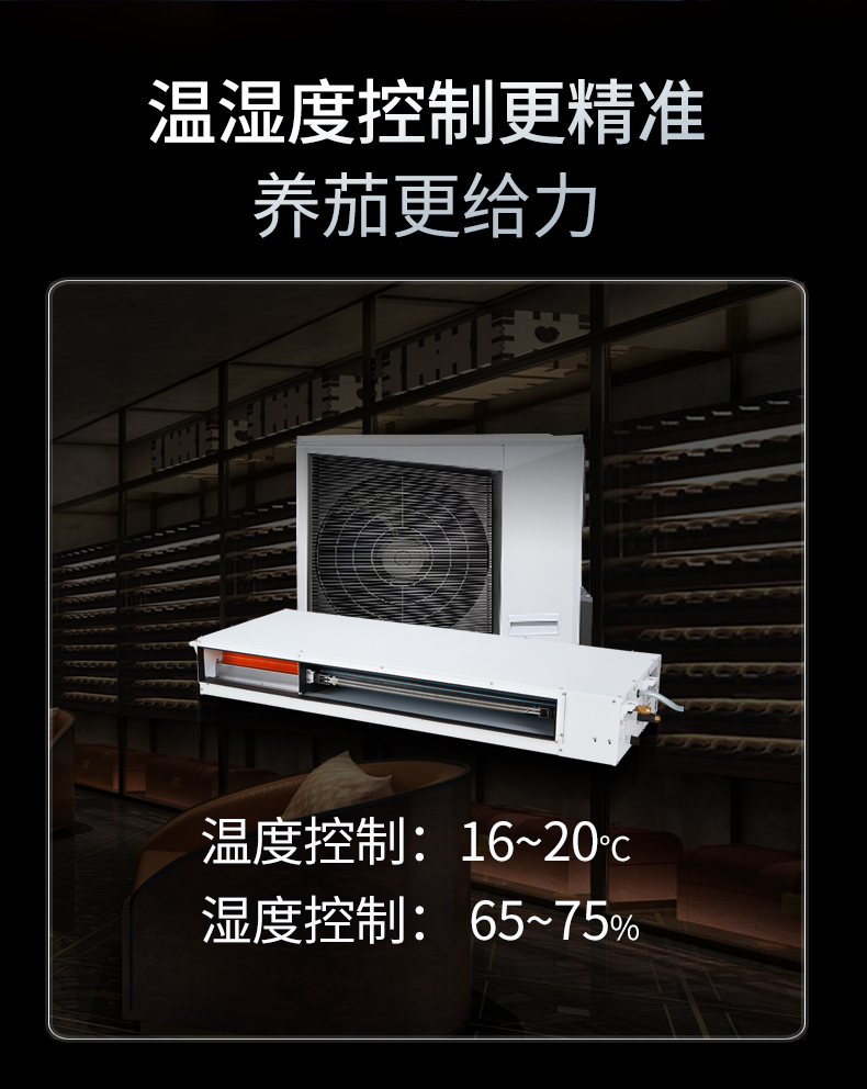 艾爾斯派雪茄房空調應用于雪茄房恒溫恒濕儲藏環(huán)境的優(yōu)勢